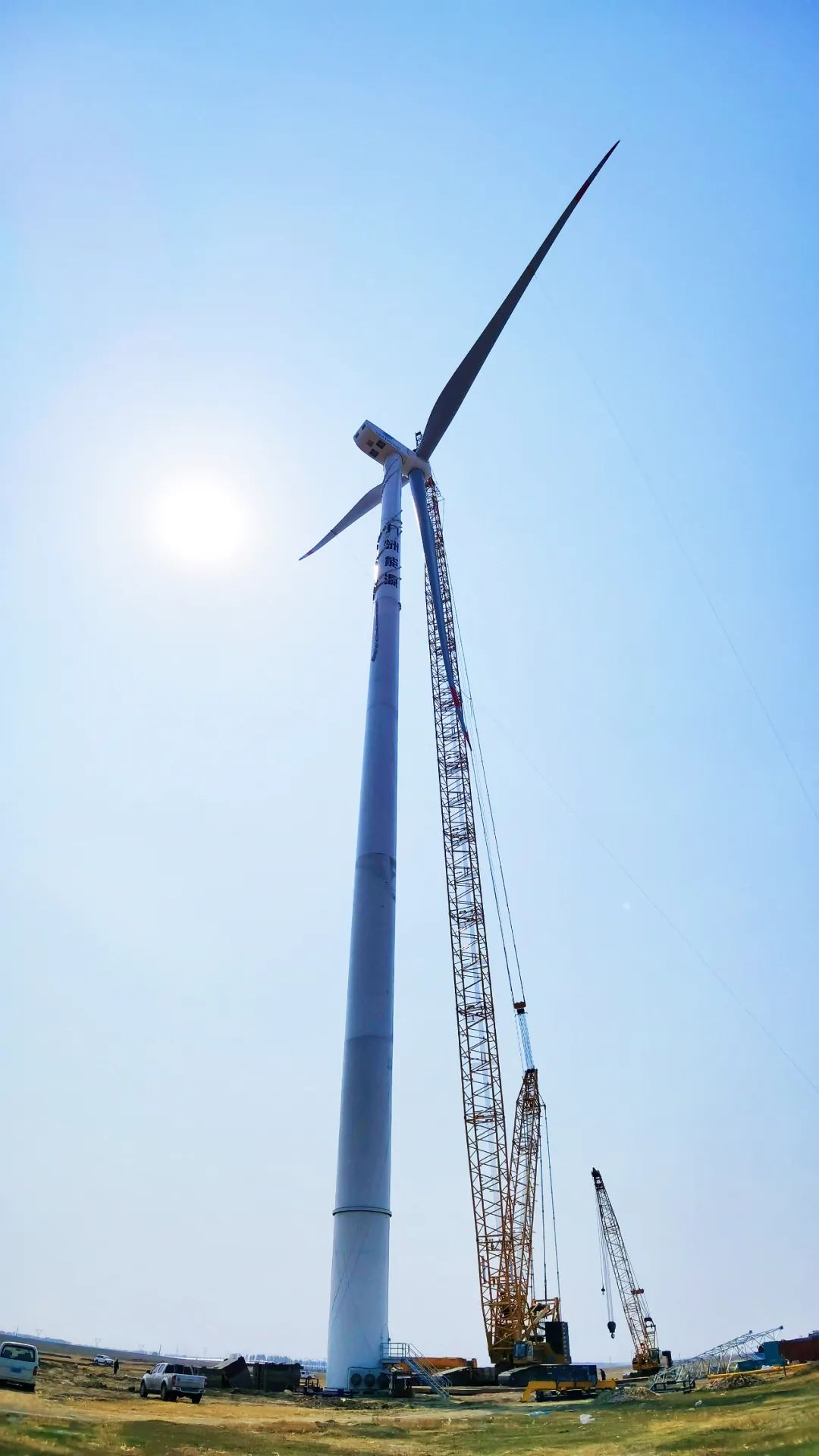 1647834262737050.jpg 3.jpg