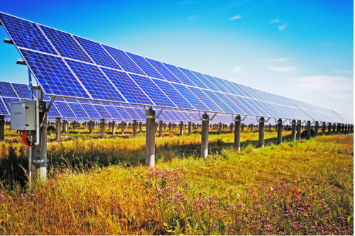 九洲集團(tuán)：創(chuàng)新引領(lǐng)企業(yè)高質(zhì)量發(fā)展，2022年一季度實(shí)現(xiàn)“開門紅?”