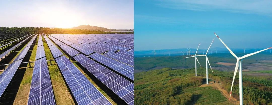 1657678987200621.jpg 640 (1).jpg